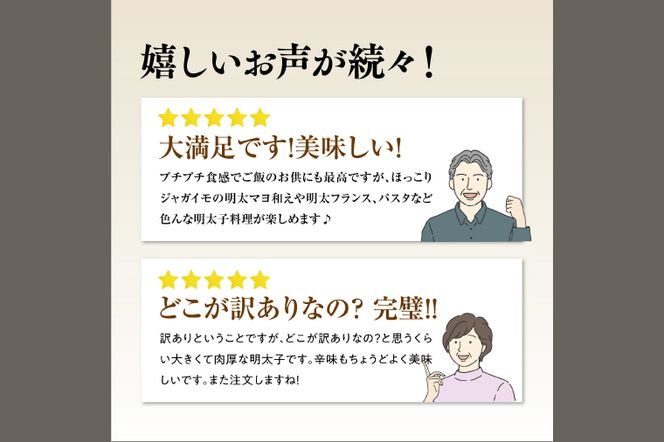 かねふく 明太子 定期便 訳あり 特上 切れ子 1kg ＜9ヶ月連続お届け＞ 計 9kg 茨城 大洗 めんたいパーク わけあり めんたいこ 冷凍