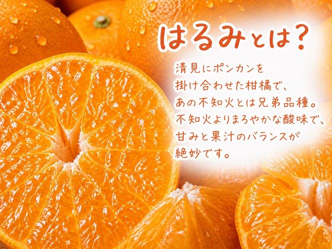 果肉ぷりぷり!完熟はるみ　５ｋｇ［2027年2月上旬頃～2027年2月下旬頃に順次発送］［UT22］ 303446_XF032