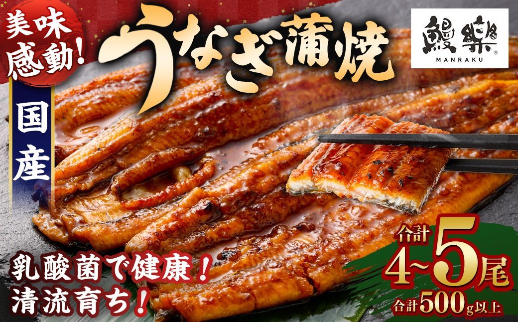 極上鰻!うまい![宮崎県産 うなぎ蒲焼 4〜5尾 計500g以上][c1451_mn]