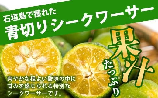 【先行予約】≪2026年8月以降順次発送≫ こだわりの青切りシークワーサー 1.3kg 約40～60個 【 産地直送 沖縄 石垣島 石垣 八重山 シークワーサー 柑橘 フルーツ くだもの 果物 】TF-041