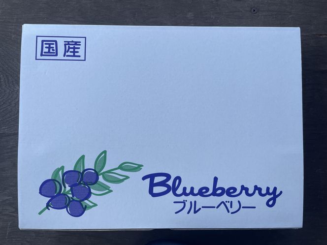 【数量限定】【2026年4月末より順次発送】お驚きの大きさ！大粒ブルーベリー(500g) 栽培期間中農薬不使用 有機栽培【えのさんのブルーベリー園】_HA1356