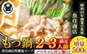 もつ増量500g 特製 塩もつ鍋 セット（2～3人前セット）【魚住商店】_HA1565