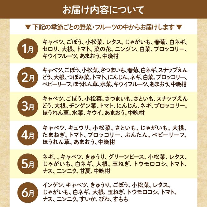 【毎月お届け】むなかた旬のお任せセット（野菜・フルーツ・卵） 9～11品【JAほたるの里】_HB0194