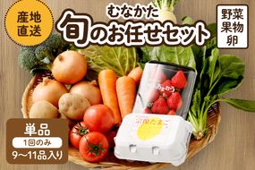 むなかた旬のお任せセット（野菜・フルーツ・卵） 9～11品【JAほたるの里】_HA1712