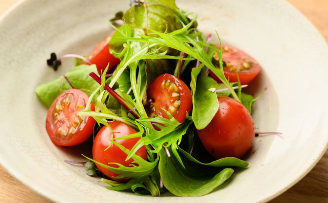 【先行予約】 熊本県産トマト 1kg ＆ ミニトマト 1kg 合計2kg はなまるお ＆ はなまるこ トマト とまと 新鮮 サラダ 野菜 やさい 八代市産 九州 【2025年12月中旬より順次発送】