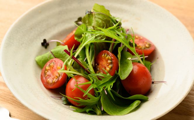 【先行予約】 熊本県産 ミニトマト はなまるこ 1kg トマト とまと 新鮮 サラダ 野菜 やさい 八代市産 九州 【2025年12月中旬より順次発送】