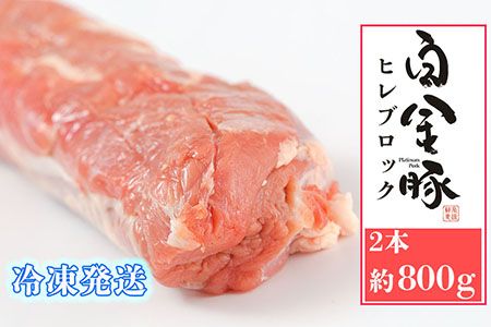y茧Ԋsz؃q2{(Ⓚ)@܂ubNy1919z