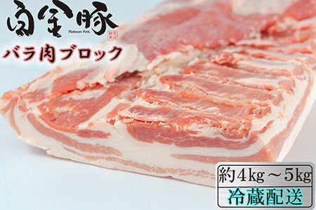 y茧Ԋsz؃o1@܂ubN y1810z