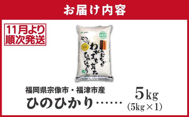 令和7年産 新米先行予約！「ひのひかり」5kg【ほたるの里】_HA1786