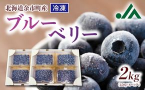 冷凍ブルーベリー 250g×4パック×2箱 北海道産 甘くてジューシー 余市産 ブルーベリー 250g × 4パック × 2箱 合計 2kg 冷凍 北海道産 国産 高い栄養価 抗酸化作用 高血圧予防 