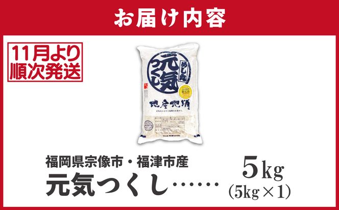 令和7年産 新米先行予約！JAよりお届け！福岡県ブランド米「元気つくし」5kg【ほたるの里】_HA1788