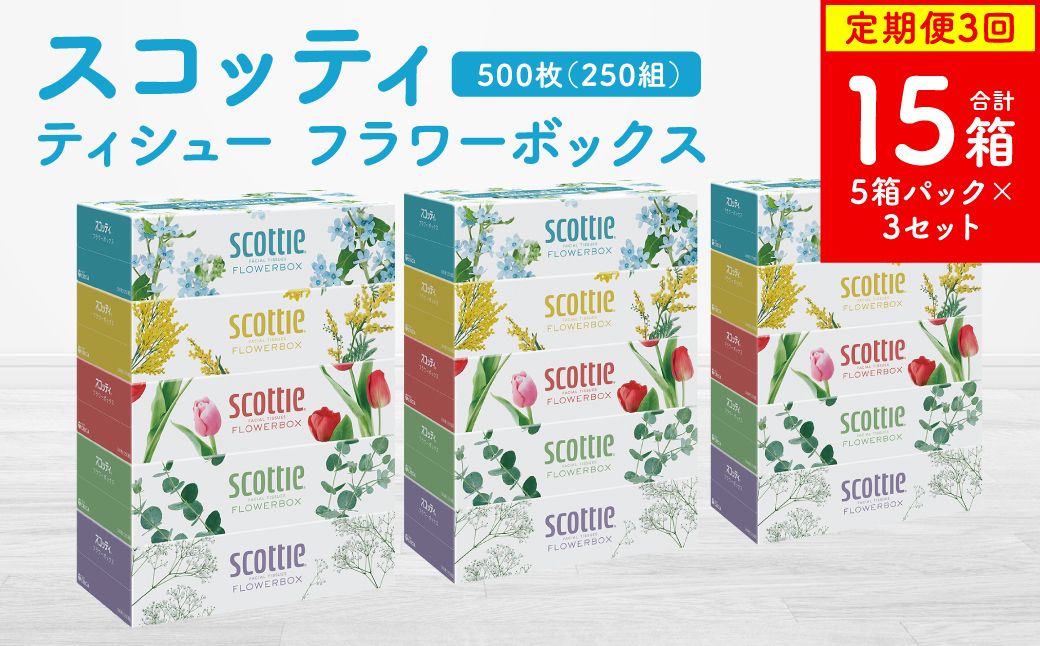 [定期便3回][毎月お届け][スコッティ]ティシュー フラワーボックス 250組 5箱パック×3セット 合計15箱 ティッシュ 日用品 生活必需品 消耗品 紙 まとめ買い 備蓄 防災備蓄 ストック