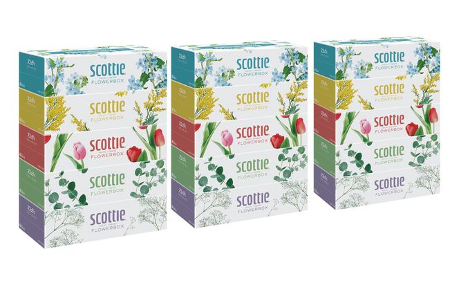 【定期便3回】【毎月お届け】【スコッティ】ティシュー フラワーボックス 250組 5箱パック×3セット 合計15箱 ティッシュ 日用品 生活必需品 消耗品 紙 まとめ買い 備蓄 防災備蓄 ストック