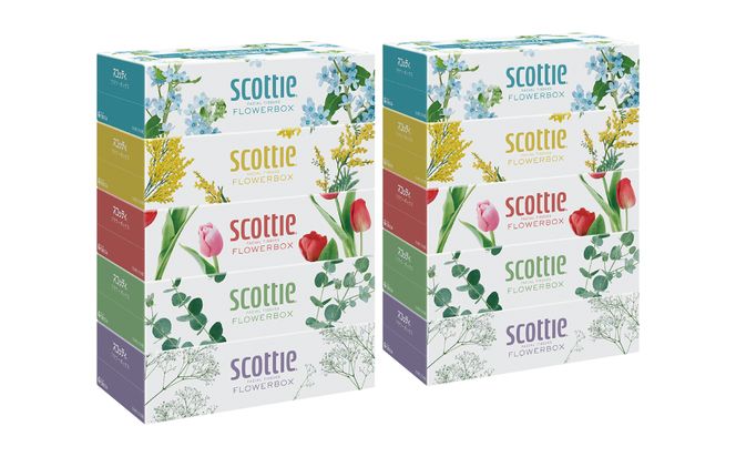 【定期便6回】【毎月お届け】【スコッティ】ティシュー フラワーボックス 250組 5箱パック×2セット 合計10箱 ティッシュ 日用品 生活必需品 消耗品 紙 まとめ買い 備蓄 防災備蓄 ストック