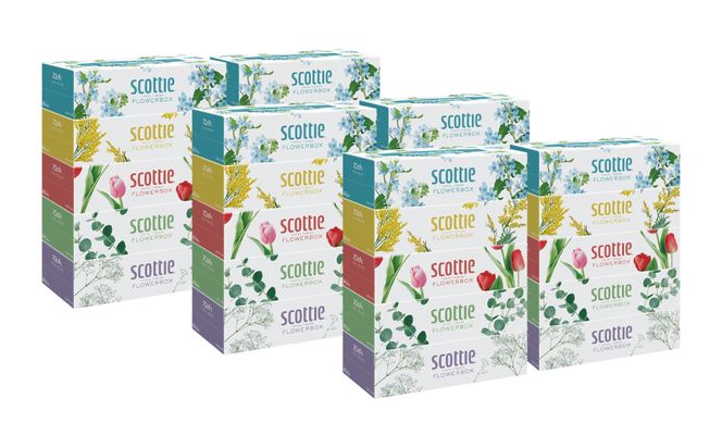 【定期便6回】【毎月お届け】【スコッティ】ティシュー フラワーボックス 250組 5箱パック×6セット 合計30箱 ティッシュ 日用品 生活必需品 消耗品 紙 まとめ買い 備蓄 防災備蓄 ストック デ