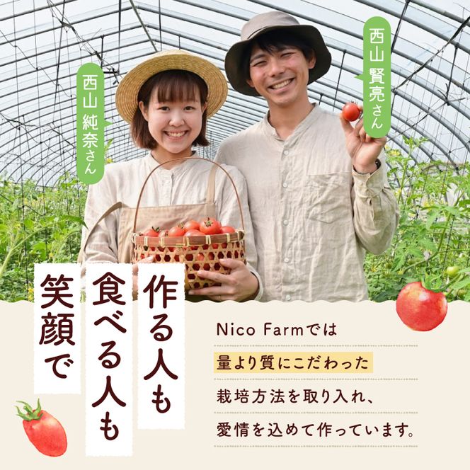 NicoFarm トマトジュース2本セット_Y124-0001