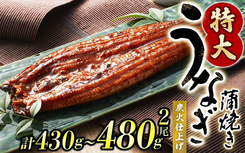 1尾約215g〜240gのビッグサイズ うなぎ蒲焼 2尾 計約430g〜480g (タレ・山椒付き) [通常発送][nks700B-y]