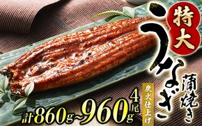 うなぎ蒲焼 4尾 計約860g～960g （タレ・山椒付き） 1尾約215g～240gのビッグサイズ 鰻 うなぎ うなぎの蒲焼 炭火焼き 炭火 中国産【nks702B-y】