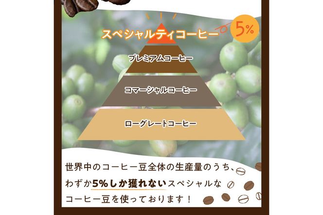 栽培期間中農薬不使用】自家焙煎コーヒー豆 お試しセット