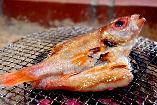 丹後ひもの屋自家製干物「旨干しノドグロの一夜干し」250ｇ～300ｇ級　1尾　漁師町の味！　OD00149