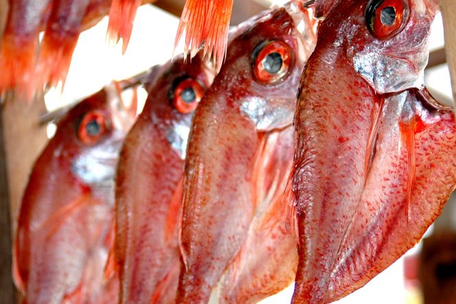 丹後ひもの屋自家製干物「旨干しノドグロの一夜干し」250ｇ～300ｇ級　1尾　漁師町の味！　OD00149