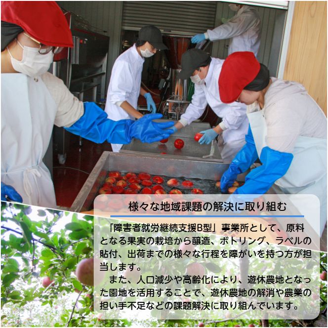 アールペイザンワイナリー　白ワイン「シャルドネ」2本セット 【2169】