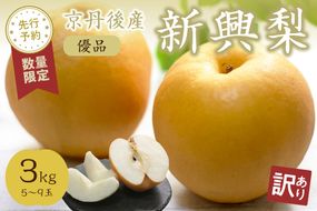 【先行予約／数量限定50】【訳あり】新興梨 優品 3kg（5～9玉入り）（2026年10月上旬～発送）　SF00044