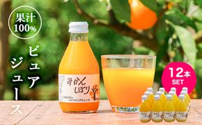 651.伊藤農園 100%ピュアジュース みかんしぼり180ml×12本（A651-3）