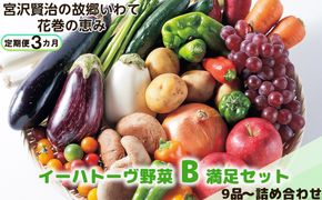 【定期便３ヶ月】イーハトーヴ野菜B 満足セット 9品～ 詰め合わせ＜予約受付2026年4月より発送開始＞ 【1204】
