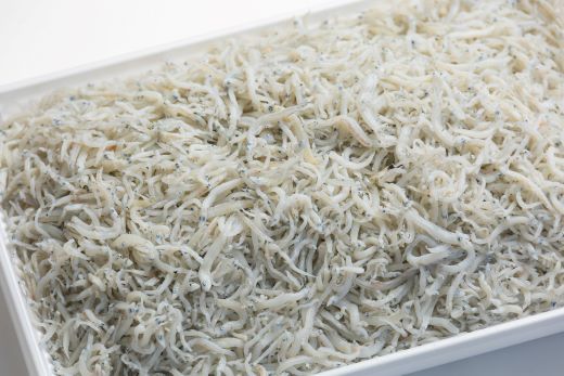 【冷蔵】釜あげしらす(ちりめん) 約1kg - 国産 ちりめん しらす シラス 稚魚 魚介 魚 海産物 天日干し 釜茹で ドロメ サラダ 和え物 アレンジ 料理 ご飯のお供 三浦屋海産 高知県 香南市 冷蔵 mu-0008