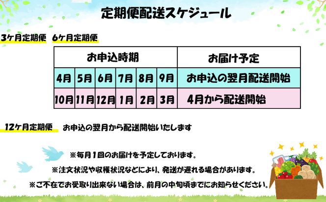 【定期便３ヶ月】イーハトーヴ野菜C もりもりセット 11品～ 詰め合わせ＜予約受付2026年4月より発送開始＞ 【1208】