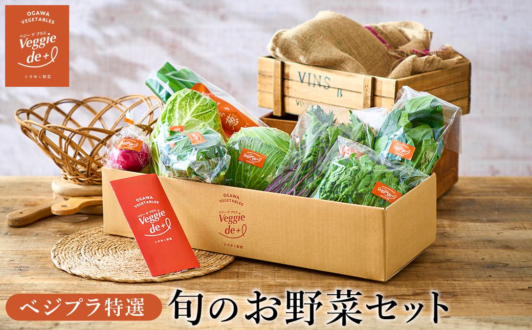 ベジプラ特選 旬の野菜セット[定期便:12回 毎月お届け]