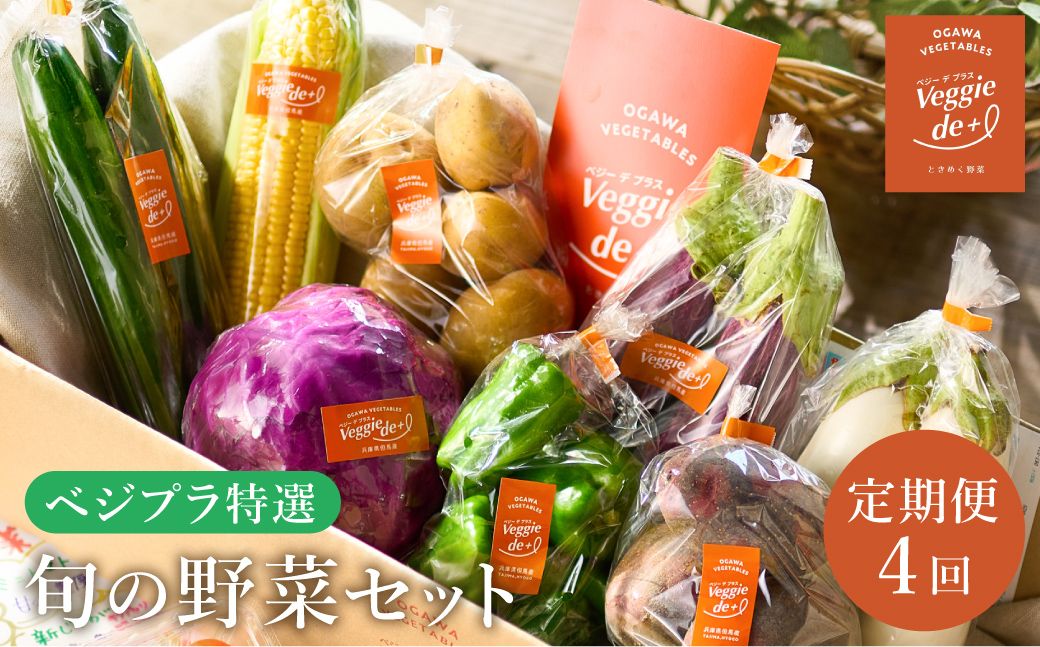 ベジプラ特選 旬の野菜セット[定期便:4回 春(5月)・夏(7月)・秋(11月)・冬(1月) ]