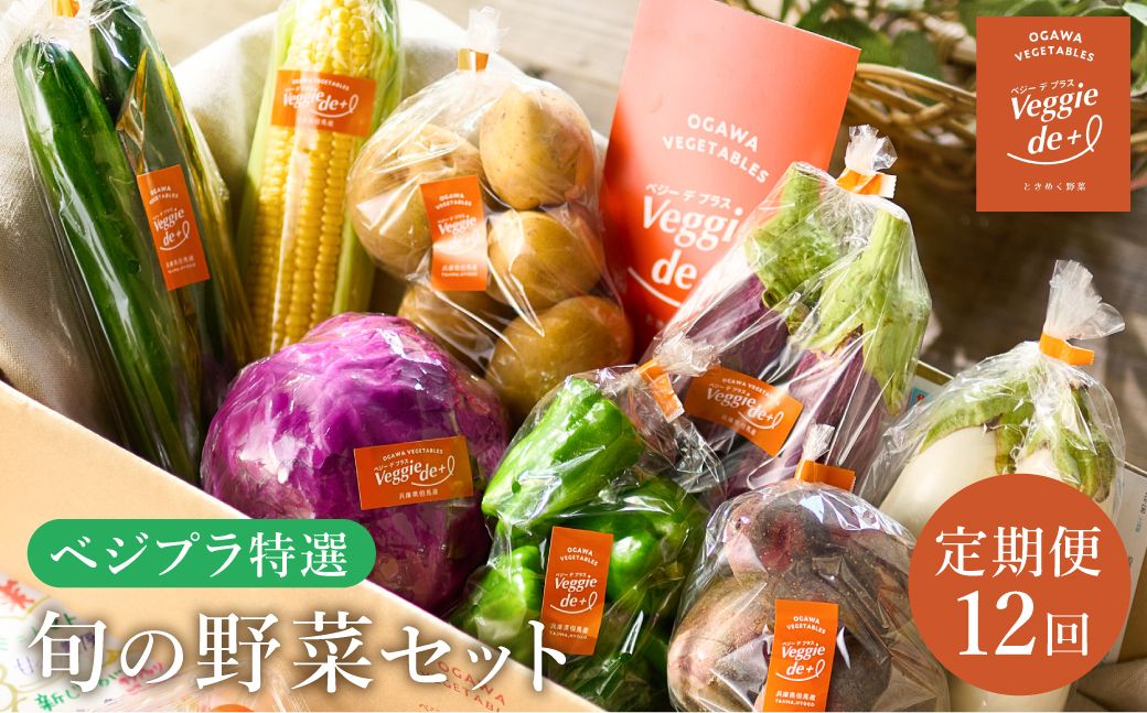 ベジプラ特選 旬の野菜セット[定期便:12回 毎月お届け]