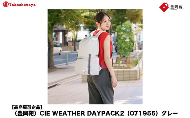 yɌLszyIizL CIE WEATHER DAYPACK2 (071955) O[ / ؘacX bN y  rWlX Xg[g obNpbN bNTbN Y fB[X bNY A4t@CΉ