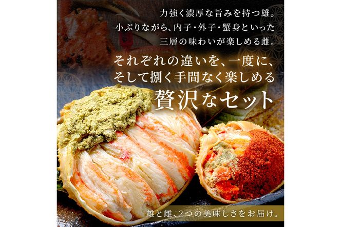 ys{OszyȈ zv~AYCKj Y̍b vwDi߂ƂԂˁj Zbg(2026N1`)@UO01275