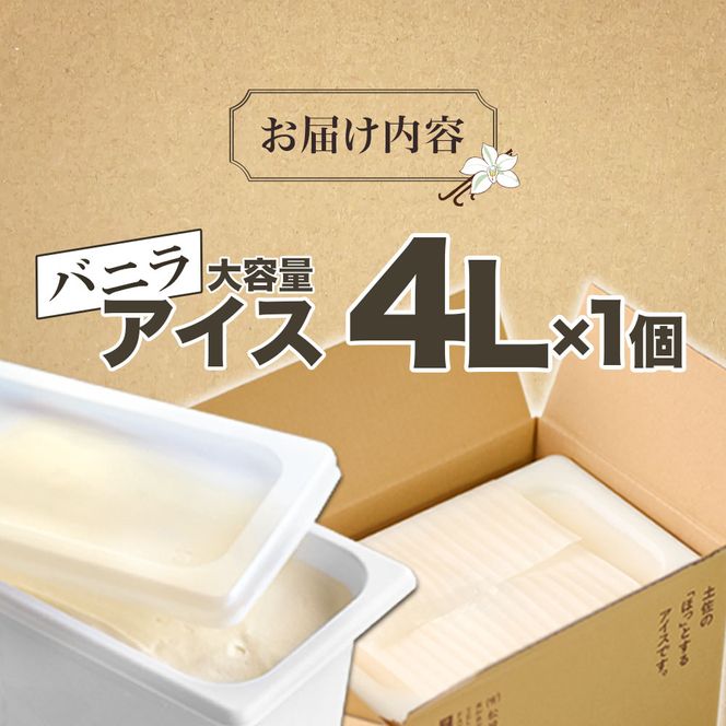 【四国一小さなまちのアイス屋さん】バニラ アイスクリーム 大容量 アイス 4000ml 4L 業務用 4リットル デザート スイーツ お菓子 アイス ミルク 大容量 いっぱい 松崎冷菓 取り寄せ お取