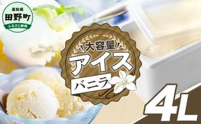 【四国一小さなまちのアイス屋さん】バニラ アイスクリーム 大容量 アイス 4000ml 4L 業務用 4リットル デザート スイーツ お菓子 アイス ミルク 大容量 いっぱい 松崎冷菓 取り寄せ お取