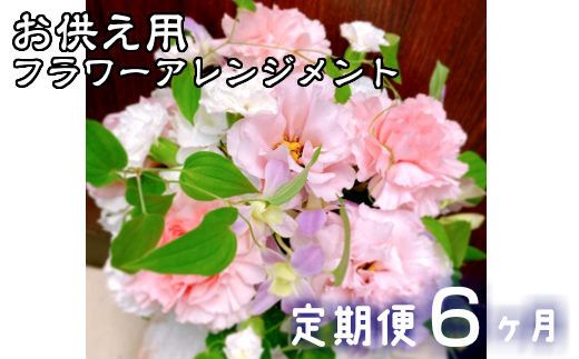 y茧Ԋszy6zw\ pt[AWg y803z