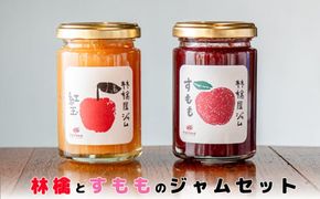 いわて花巻　林檎とすもものジャム2個セット（140g×2）【1457】