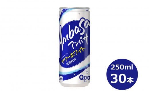 y茧ԊszAoT T[zCg250mlʁ@30{Zbg y943z