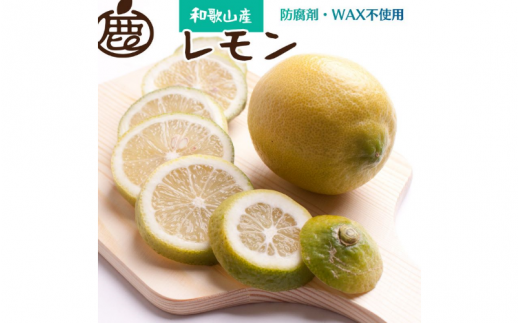 レモン1kg+250g(傷み補償分)[和歌山有田産][防腐剤・WAX不使用、安心の国産レモン]※北海道・沖縄・離島への配送不可[ikd134B]