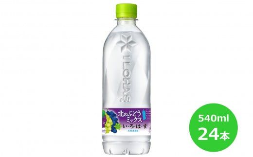 y茧ԊszEÉE k̂Ԃǂ~bNX 540mlPET×24{Zbg y1624z