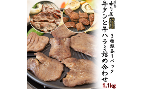 牛タンと牛ハラミの味付肉詰め合わせ1.1kg ＜肉の匠 中むら屋厳選＞　【1685】