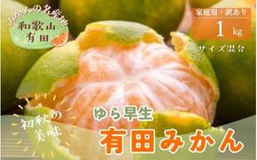 【初秋の美味】【10月～発送】有田育ちのご家庭用訳ありゆら早生有田みかん 1kg【サイズ混合】【ard052C】