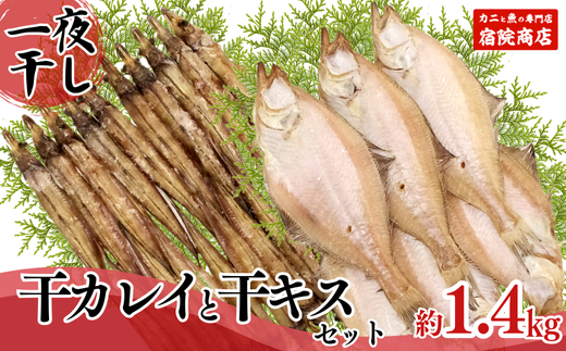 [先行予約][一夜干し 干カレイと干キスセット]9月下旬以降順次発送 山陰沖で水揚げ 干物 ひもの 海産物 海鮮 魚介 焼いたり 空揚げ お酒のお供 ご飯のお供 送料無料 日本海 香住海岸 香住港 柴山港 兵庫県 香美町 香住 ふるさと納税 宿院商店 12000円 33-12