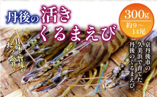 ys{OszO̊܂ 300gi9`14j@MN00058