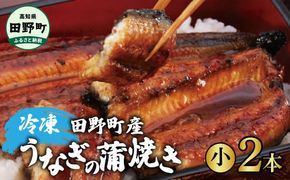 【四国一小さなまち】 田野町産うなぎの蒲焼き（小）2本 タレ付き 山椒付き うなぎ 鰻 ウナギ 蒲焼き かば焼き 無頭 おいしい 国産 お取り寄せ 冷凍 配送