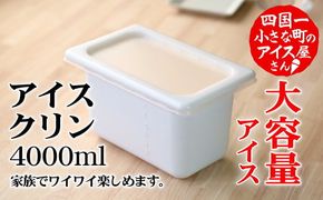 【四国一小さなまちのアイス屋さん】≪松崎冷菓≫大容量アイス 4000ml ★アイスクリン★  4l スイーツ デザート おすすめ 美味しい 高知県 田野町