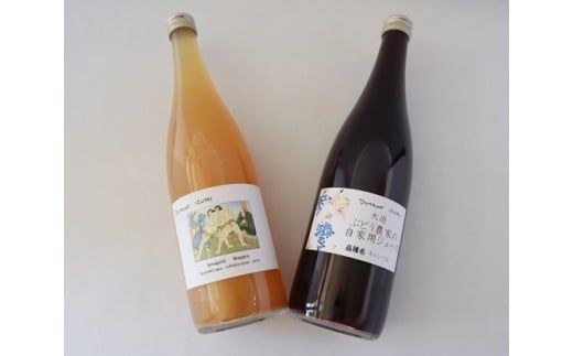 y茧ԊszԂǂ_Ƃ̉ʏ`100Xg[gW[XIԂǂW[XER{W[X@2{i720mljZbg y556z